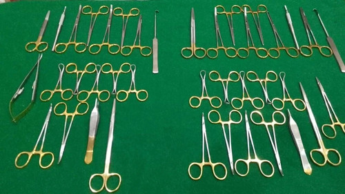 Chirurgia generale spay - spay, pack