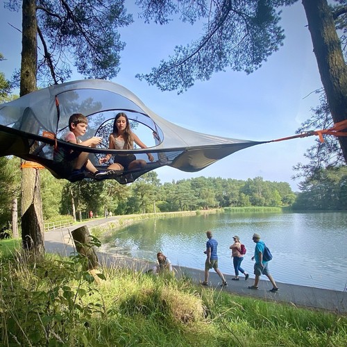 Tenda albero per - tenda, ad